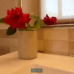 度假居 Mystay - Refugio Dos Sonhos Pedorido